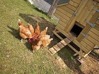 Maison d'hôtes Yeats Drumcliff