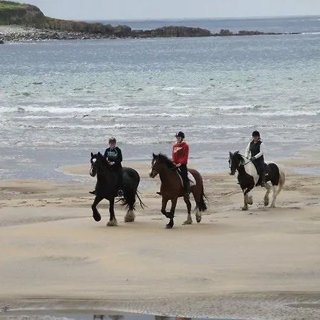 Yeats Affittacamere 4*